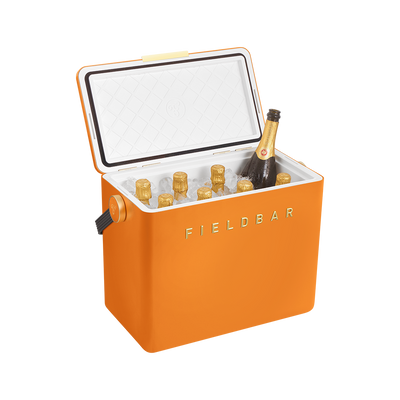 Cooler Box Set/ Orchard Orange